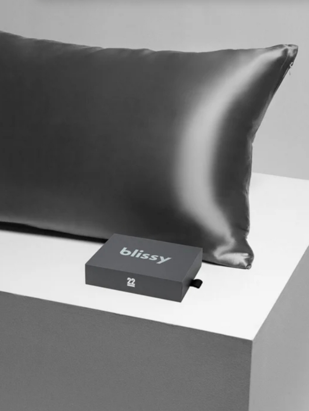Blissy Standard Mulberry Silk Pillowcase Grey New In Box